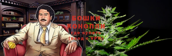 метадон Гусиноозёрск