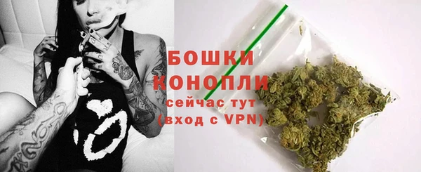 гидропоника Гусев