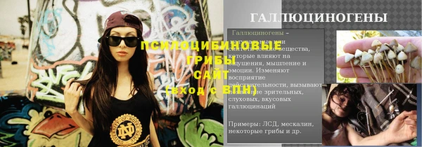 гидропоника Гусев