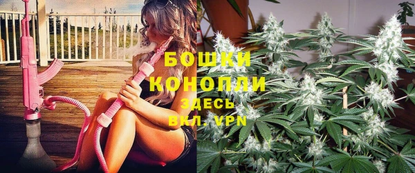 гидропоника Гусев